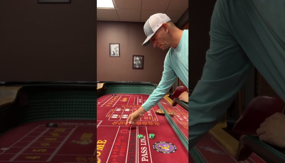 Adventure into the Thrilling Realm of Wild Dice Casino