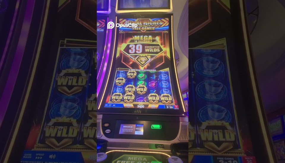 Descubre el Mundo de Emociones en Playregal