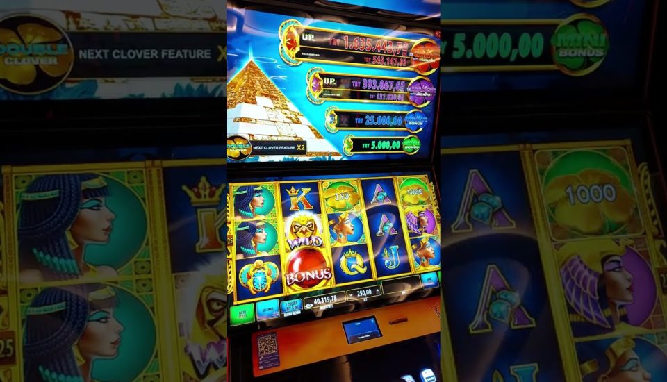 Enchanting Realms of Virtual Entertainment Unveiled