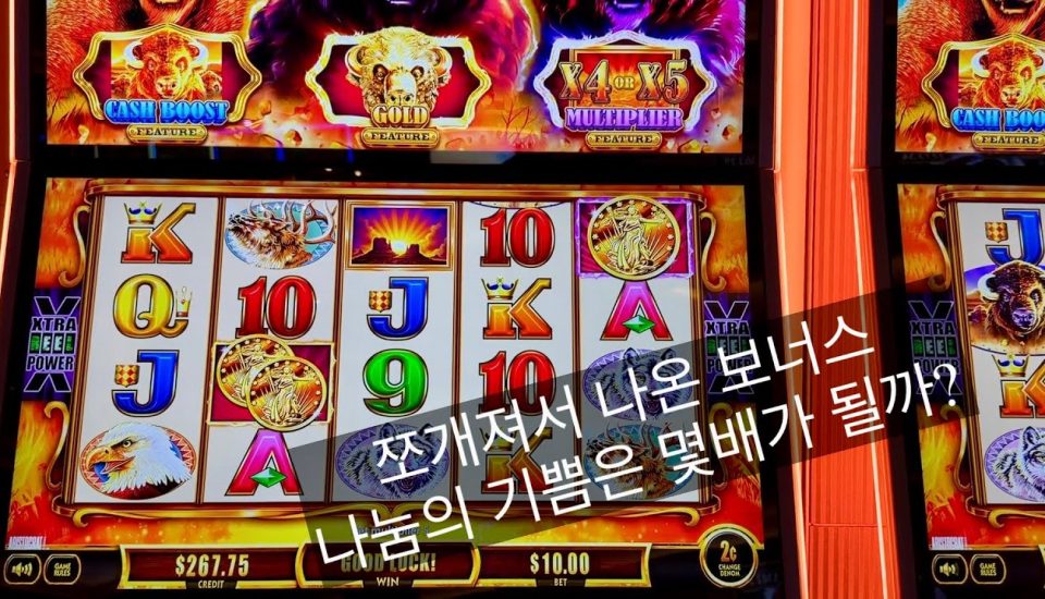 Verkenning van de Prachtige Wereld van Lalabet Casino