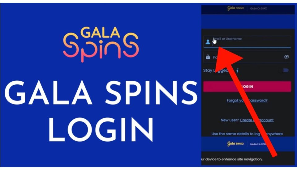 Embark on a Journey into the World of Vinyl Casino